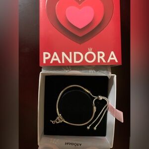 Pandora Be Mine locket charm on slider Moments bracelet, boxed set